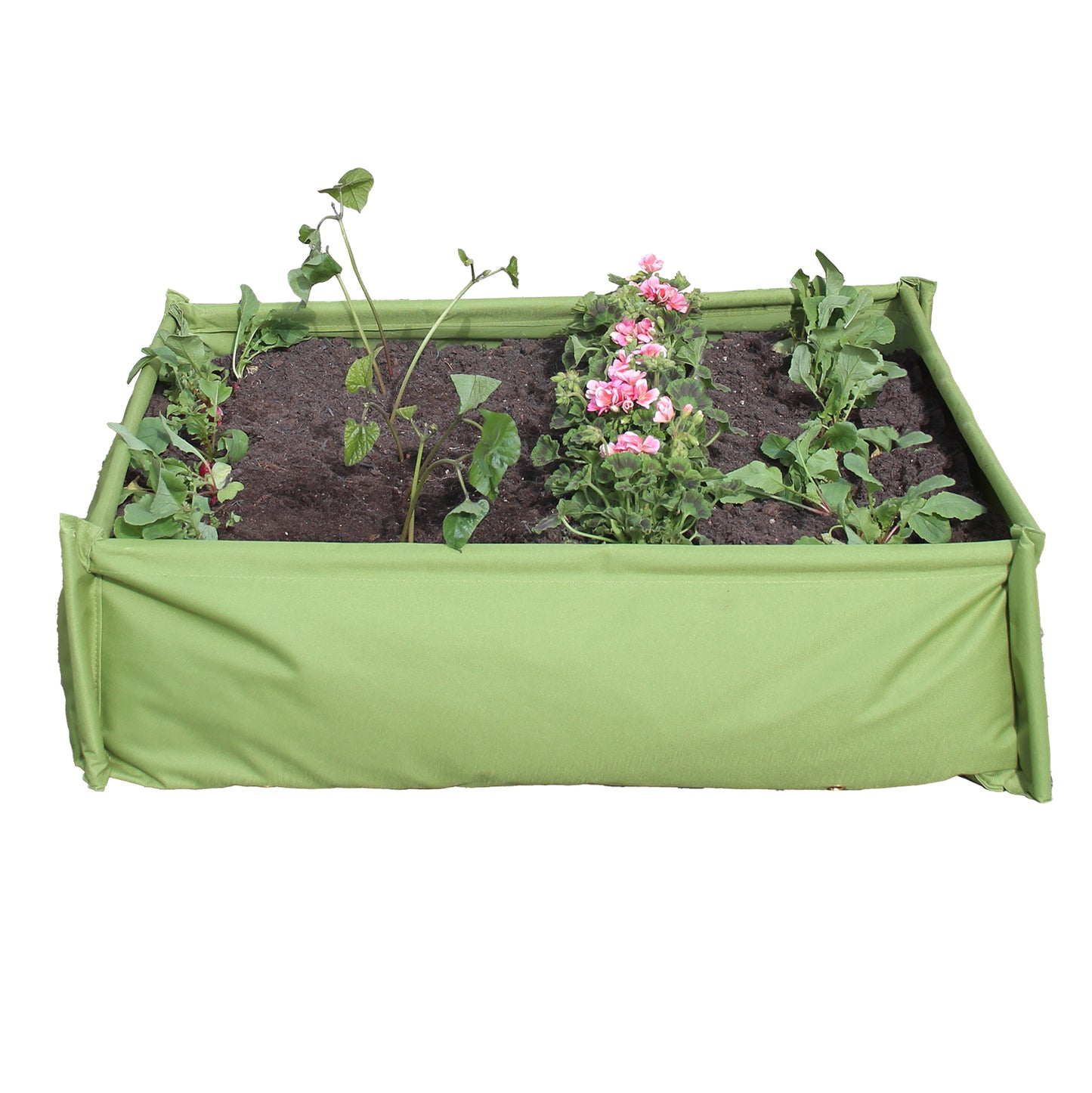Premium Fabric My First Vegetable / Sandpit -Ship Only