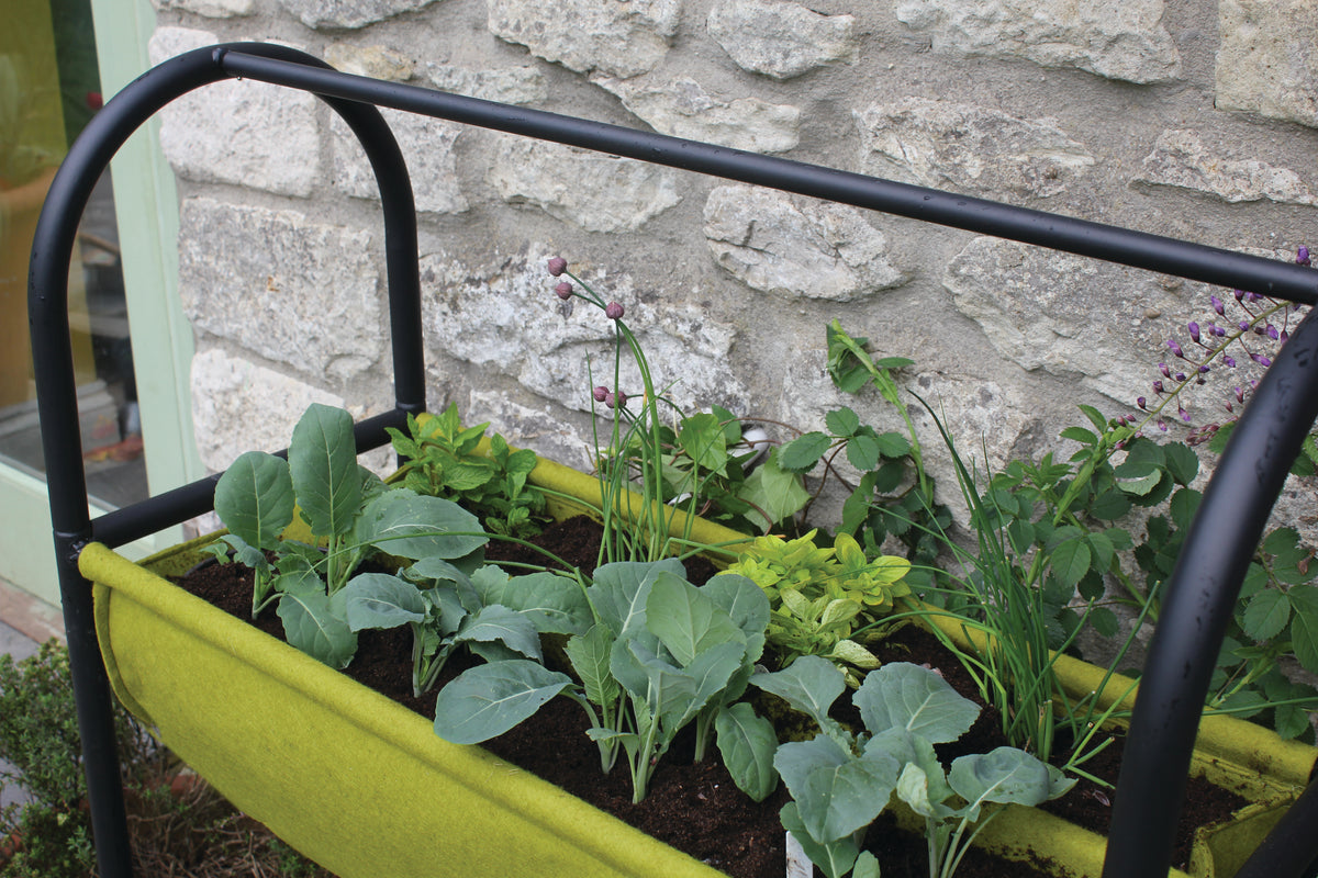 Vigoroot Easy Table Garden -Ship Only