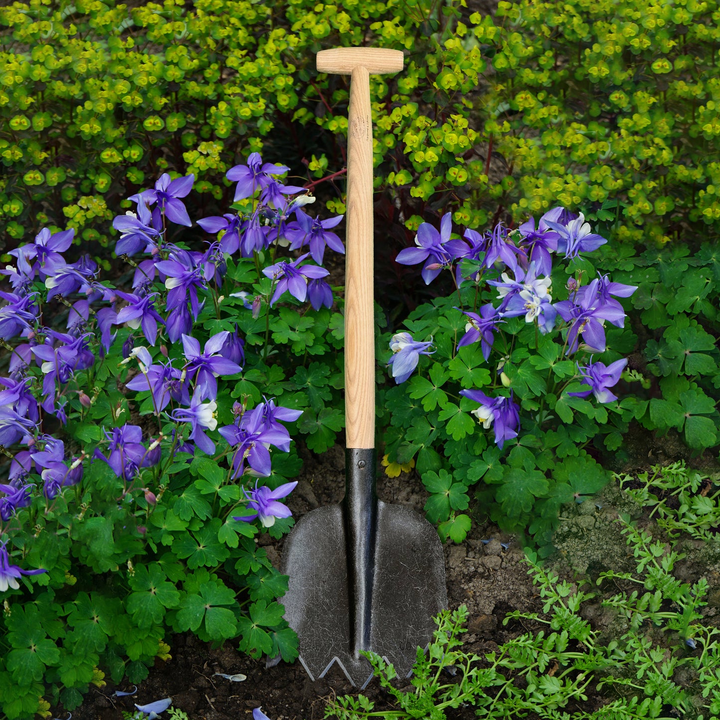 DeWit Shovel - Serrated T-Handle -Ship Only
