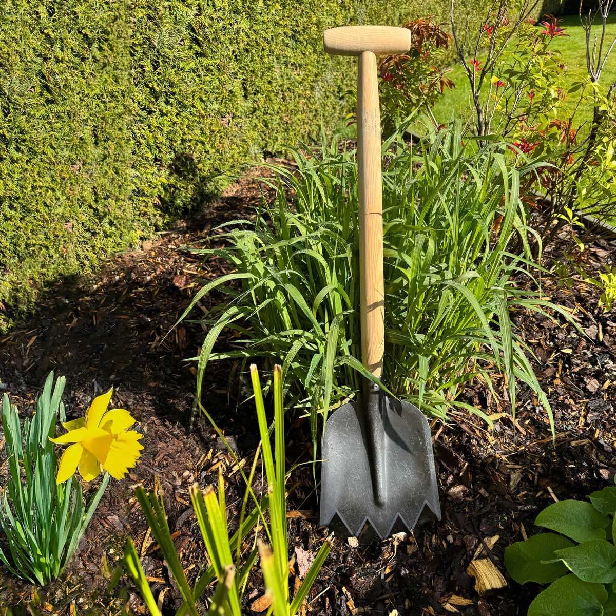 DeWit Shovel - Serrated T-Handle -Ship Only