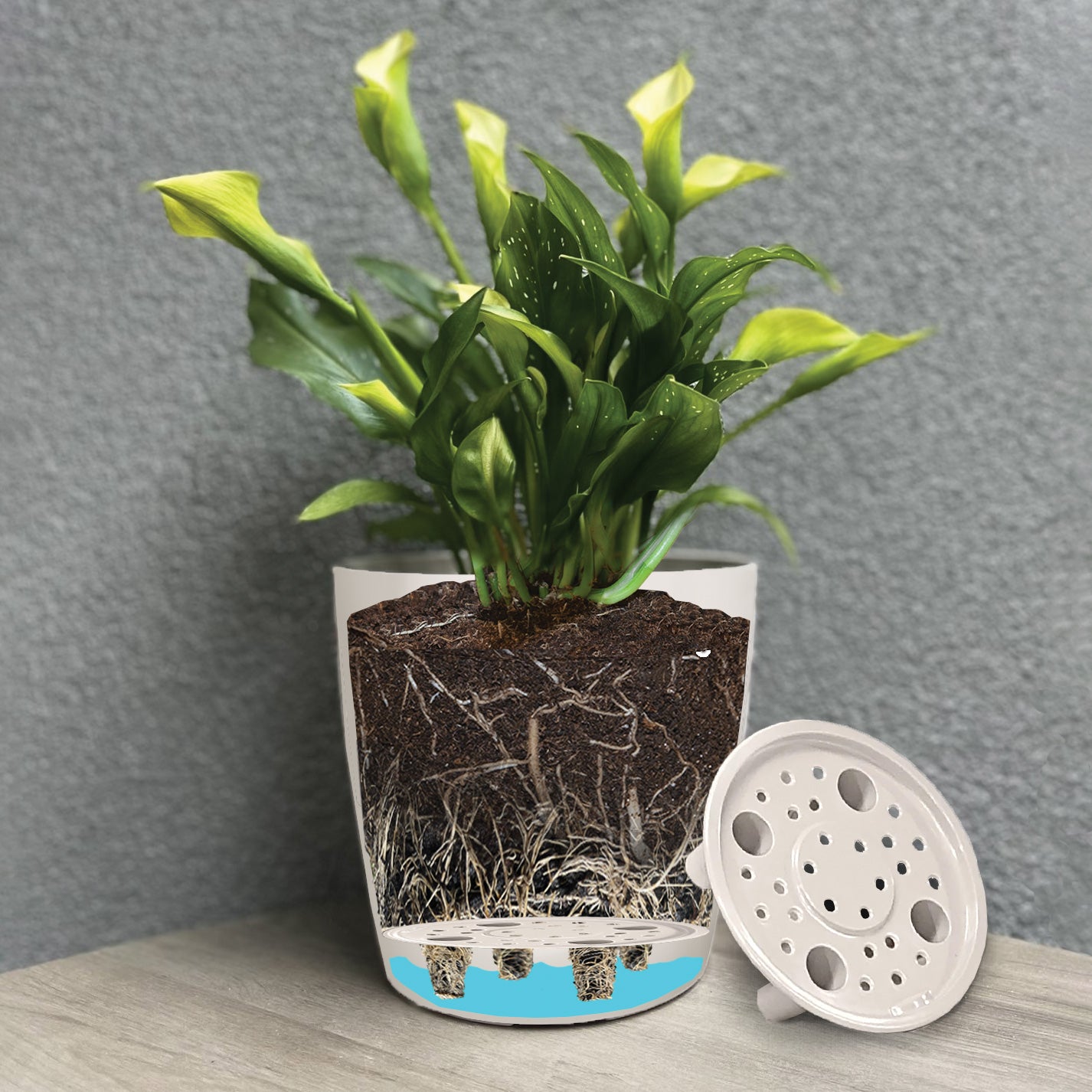 5" Gray Leaves Round Self-Watering Bamboo Pot -Ship Only
