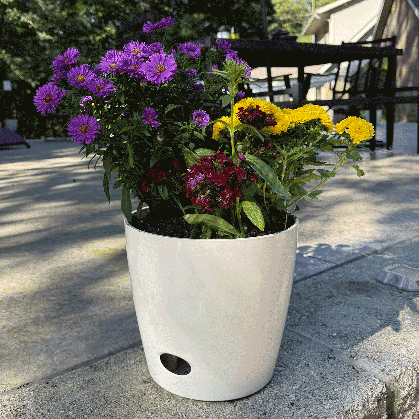 10" Cream Round Self-Watering Bamboo Pot -Ship Only