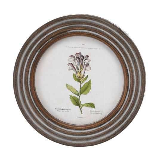 Round Framed Floral Print (Set of 6) -Ship Only