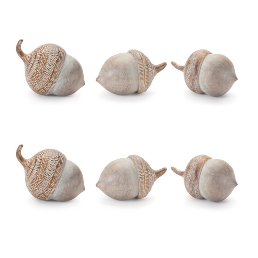 White Washed Etched Acorn (Set of 6) -Ship Only