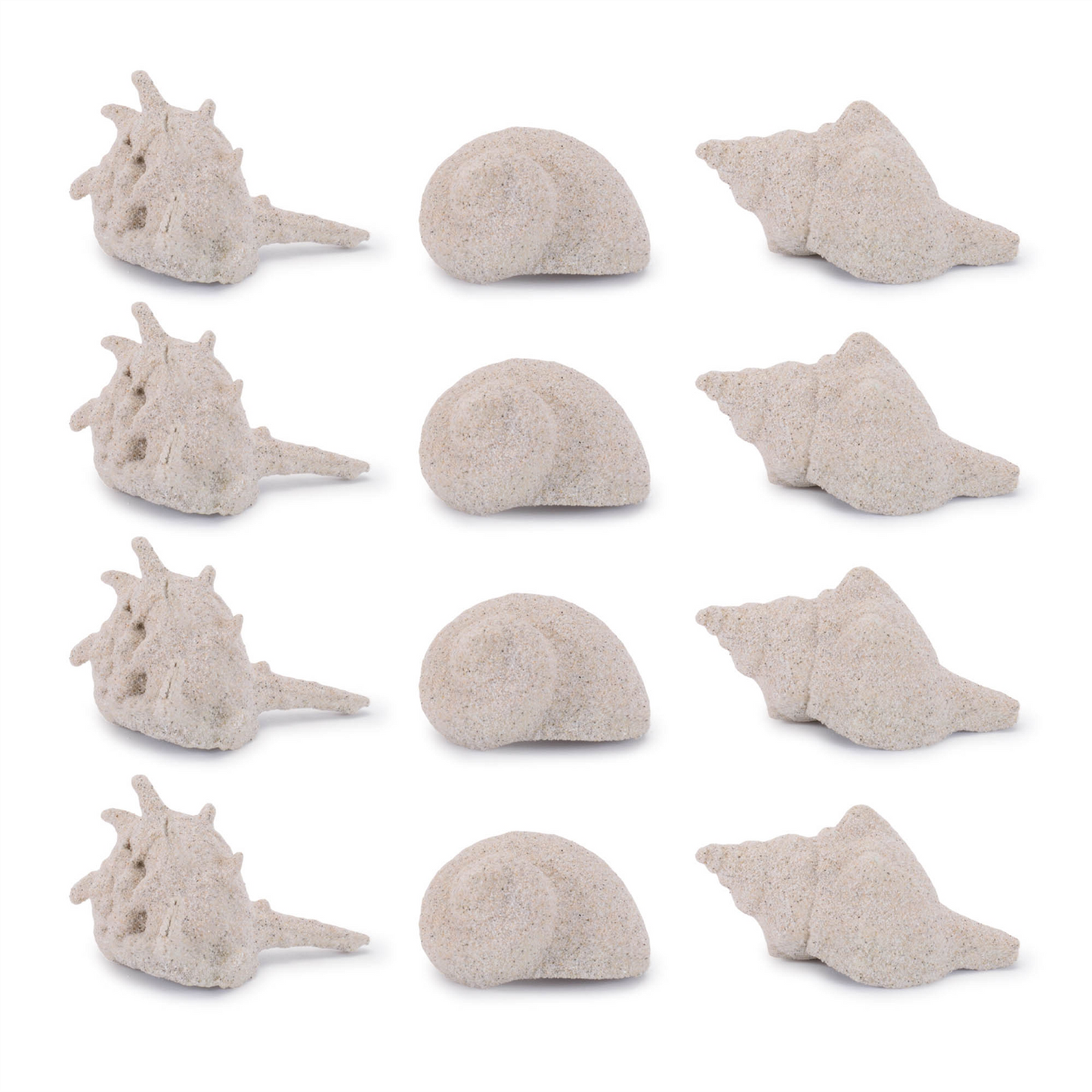 Sea Shell Filler Decor (Set of 12)