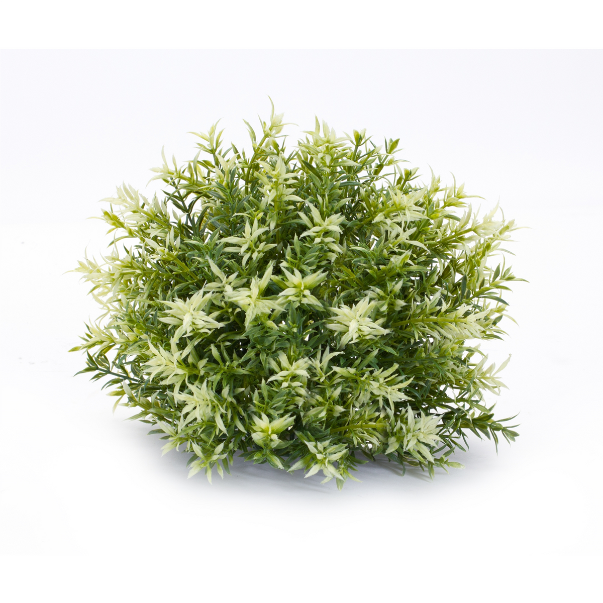 Varigated Mini Leaf Half Orb (Set of 6) -Ship Only