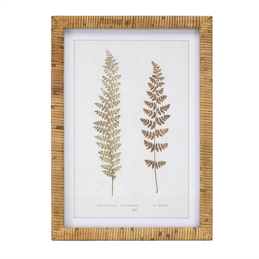 Wood Framed Fern Print (Set of 4) -Ship Only