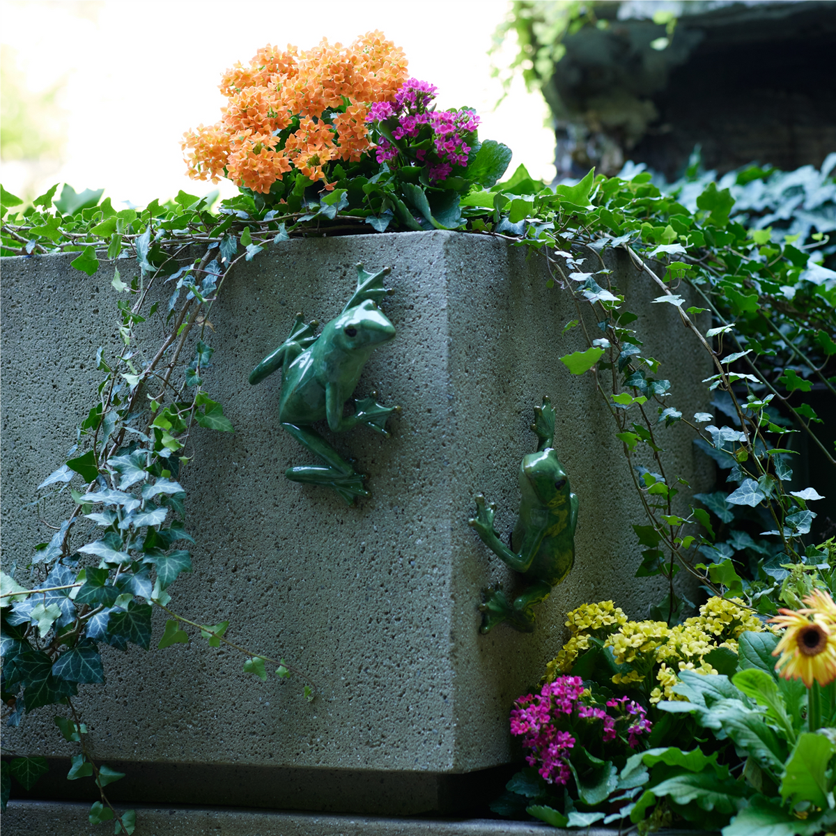 Stone Garden Frog Wall Accent (Set of 2) -Ship Only