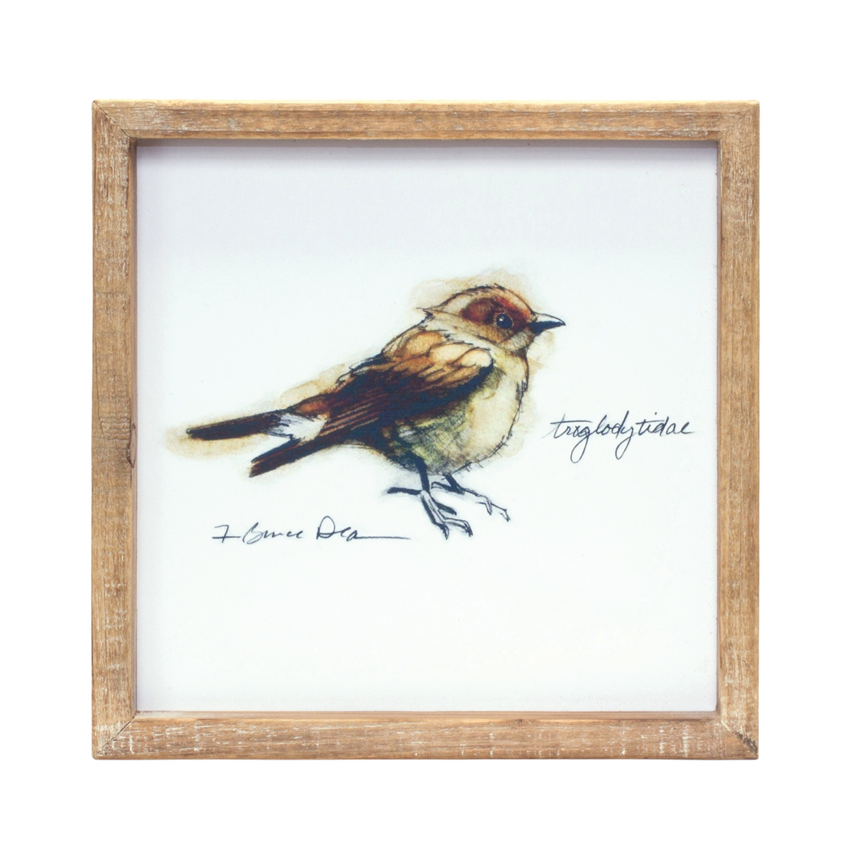 Framed Bird Print (Set of 4) 9.5”SQ MDF/Wood -Ship Only