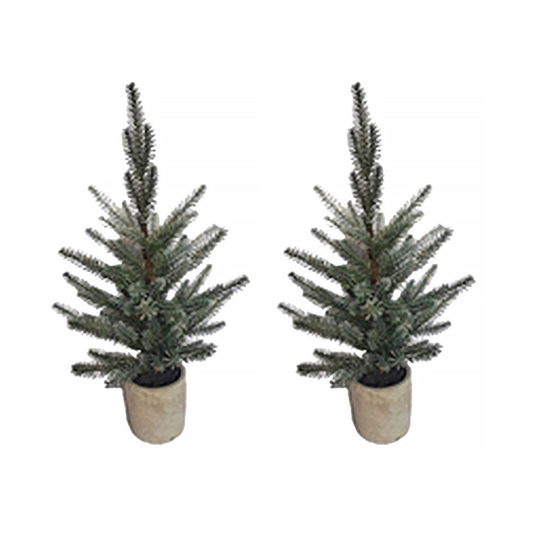 Pine Tree in Plastic Pot (Set of 2) -Ship Only