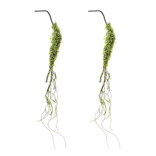 Moss Foliage Vine Branch (Set of 2)