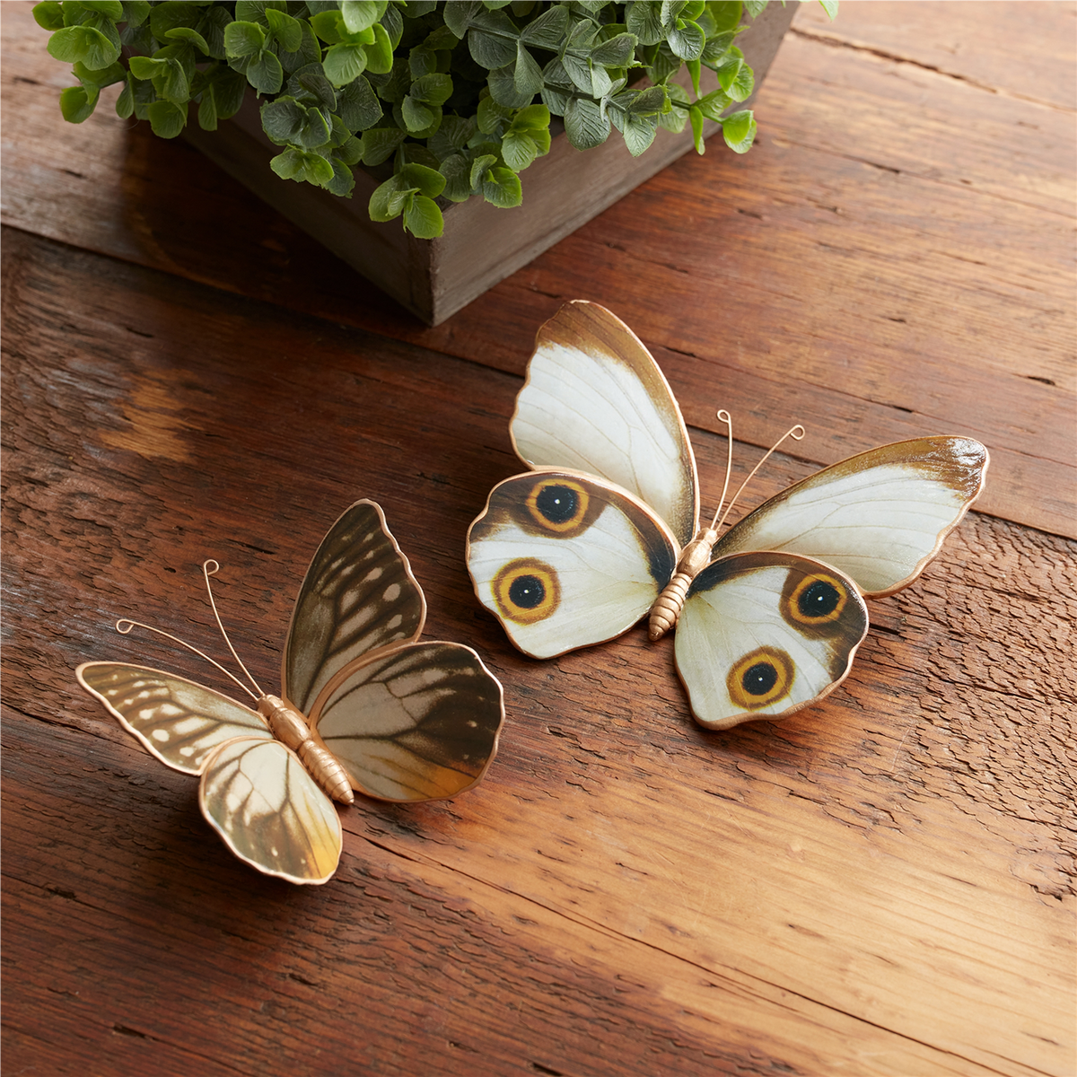 Amber Butterfly and Moth Shelf Sitter (Set of 2) -Ship Only