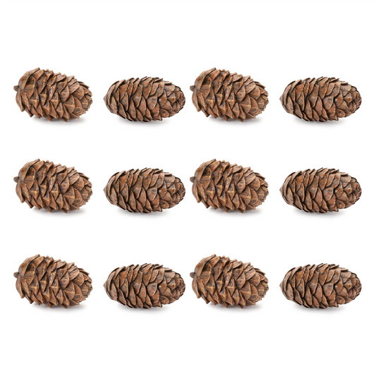 Pine Cone Decor (Set of 12) -Ship Only