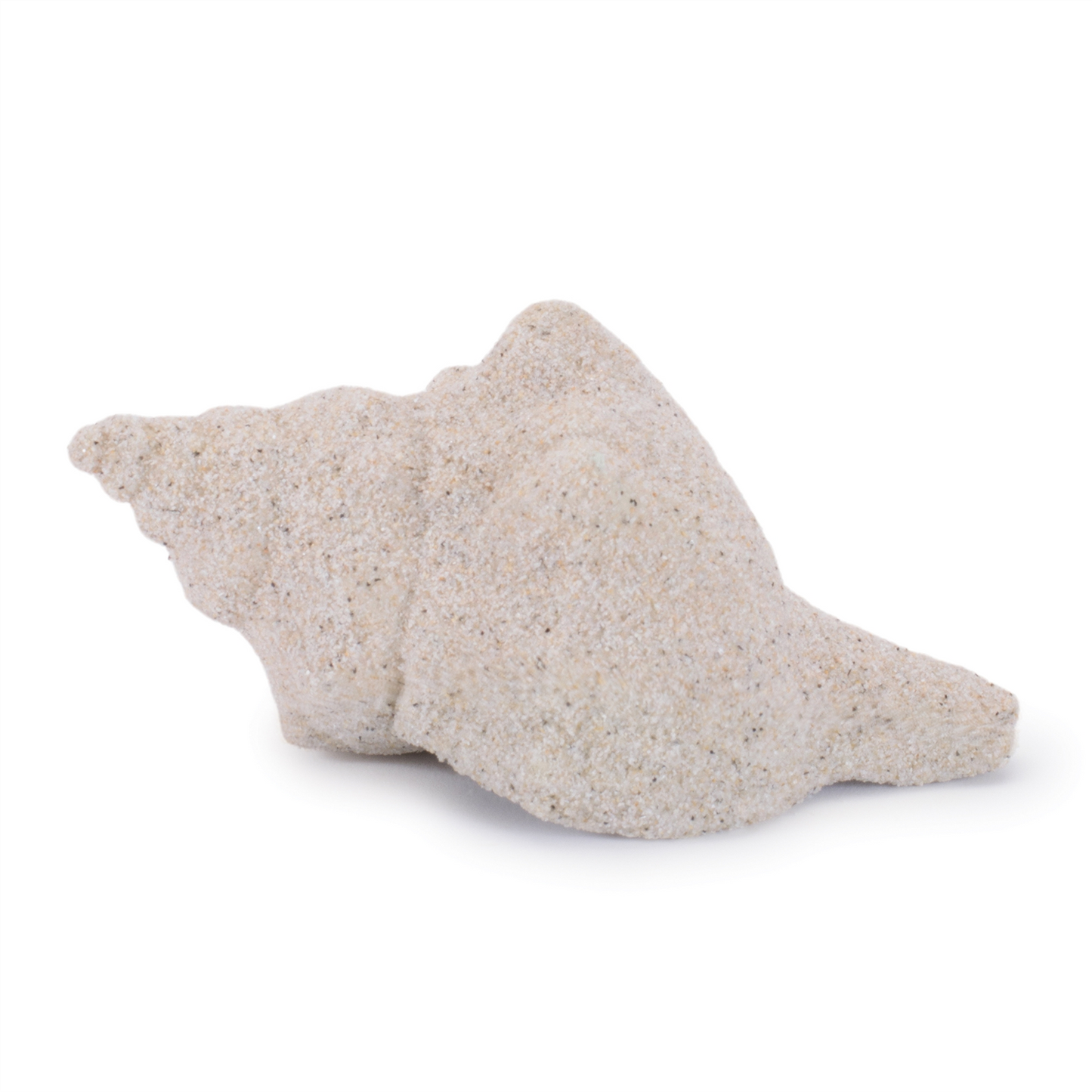 Sea Shell Filler Decor (Set of 12)