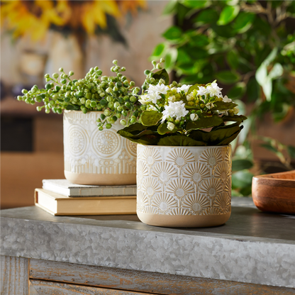 Porcelain Geometric Patterned Planter (Set of 2)