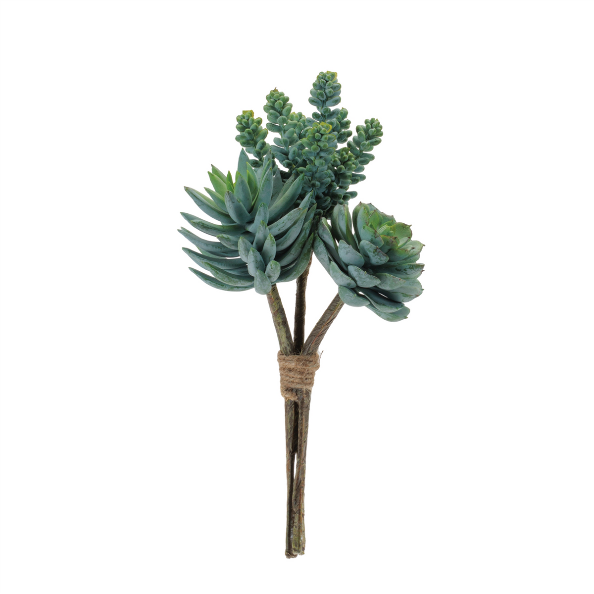 Succulent Bundle (Set of 6) 8.5"H, 8.75"H, 9.5"H Plastic