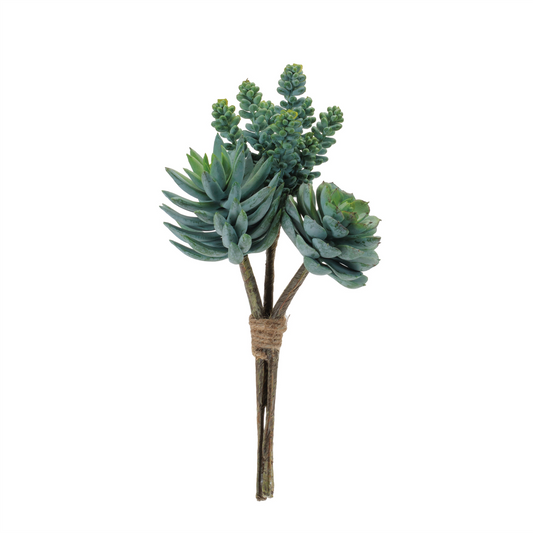 Succulent Bundle (Set of 6) 8.5"H, 8.75"H, 9.5"H Plastic -Ship Only