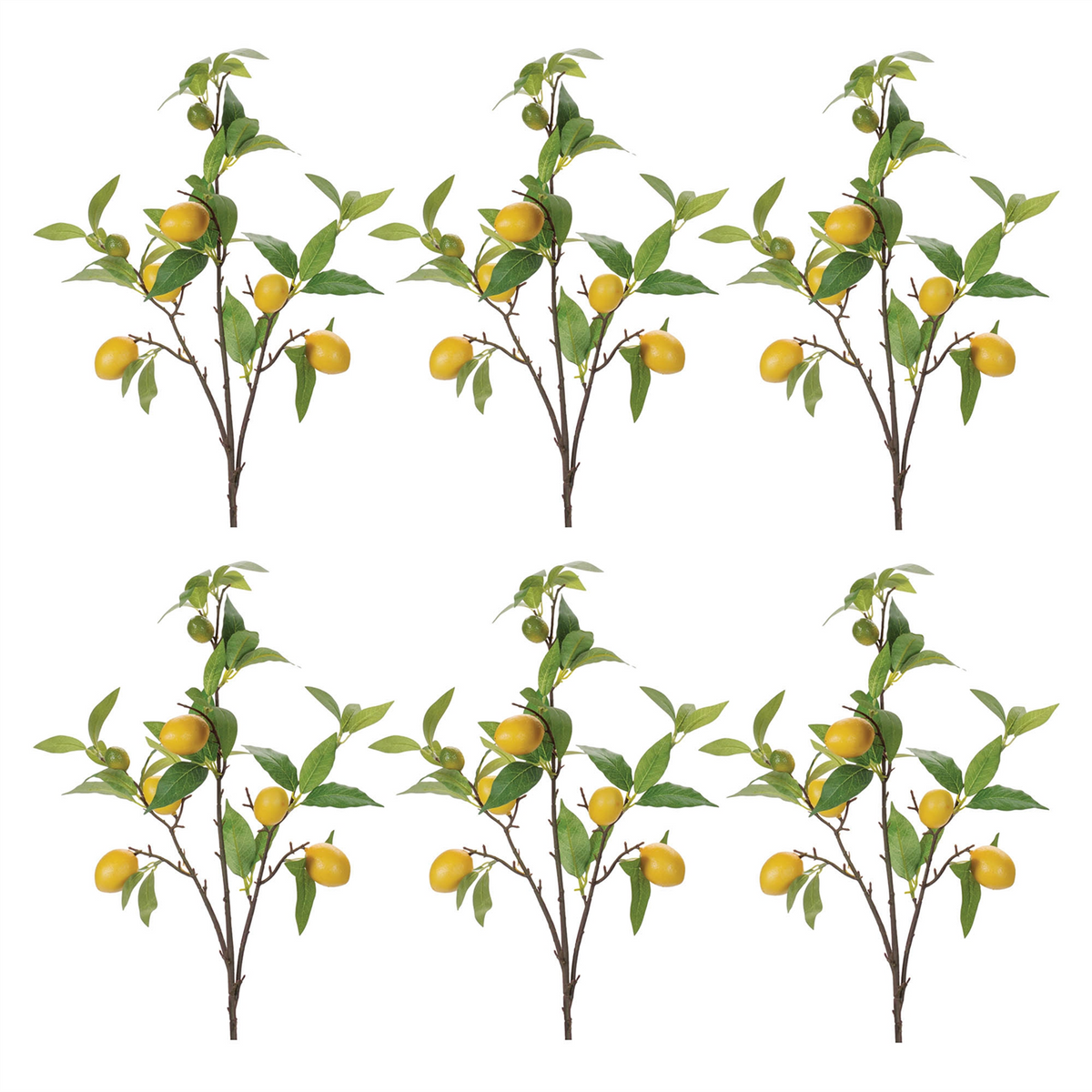 Lemon Fruit Foliage Branch (Set of 6)