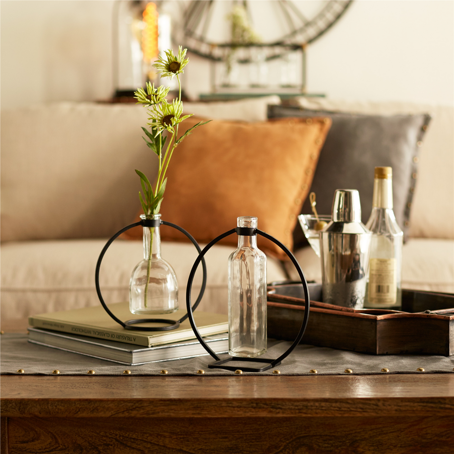 Modern Hanging Bottle Vase in Circle Stand (Set of 4) -Ship Only