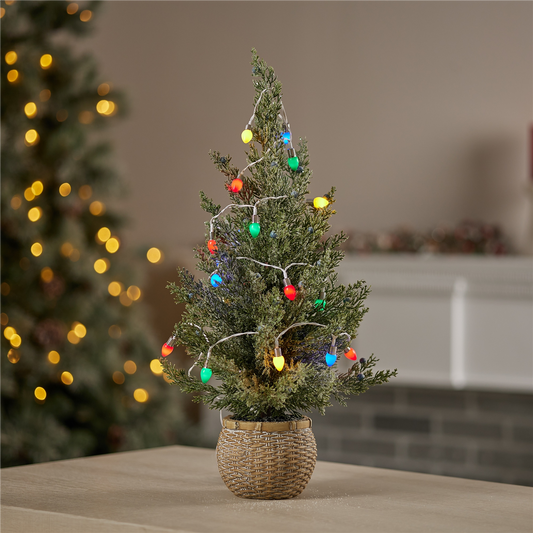 LED Lighted Strand with Classic Bulb Design (Set of 6 Strands) -Ship Only