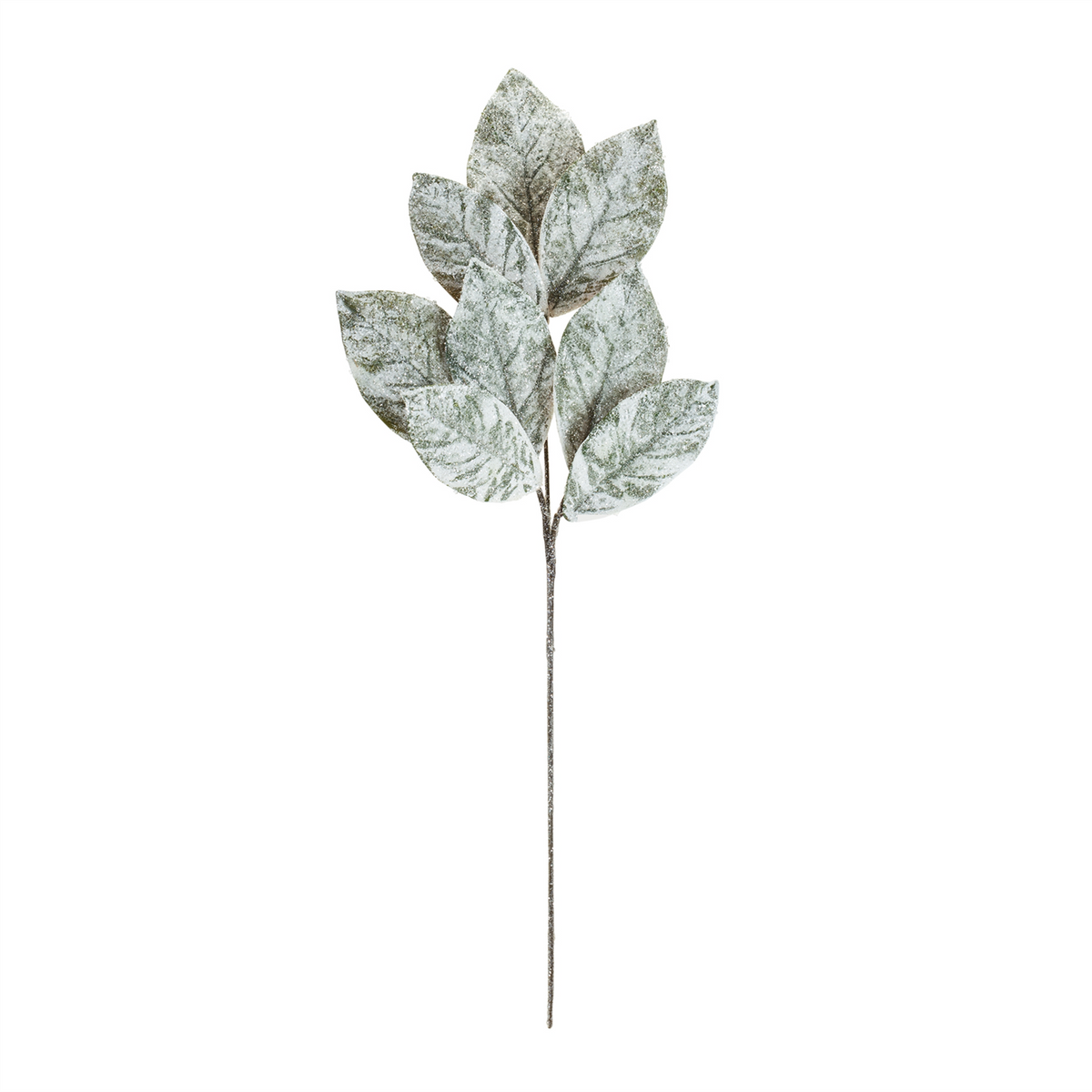 Frosted Winter Magnolia Leaf Spray (Set of 6) -Ship Only