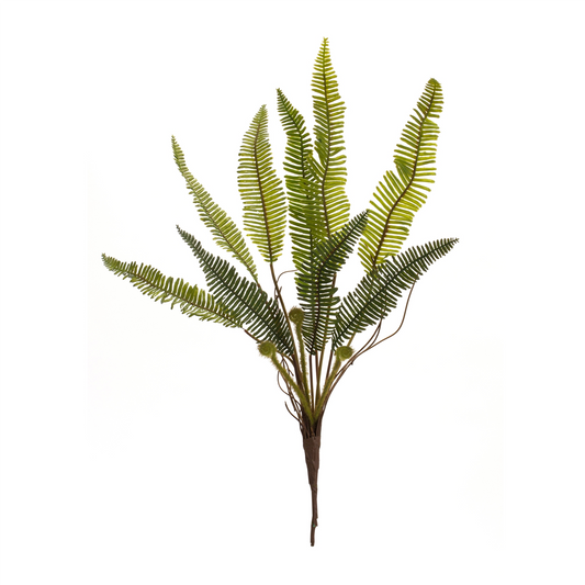 Varigated Fern Foliage Bush (Set of 6) -Ship Only