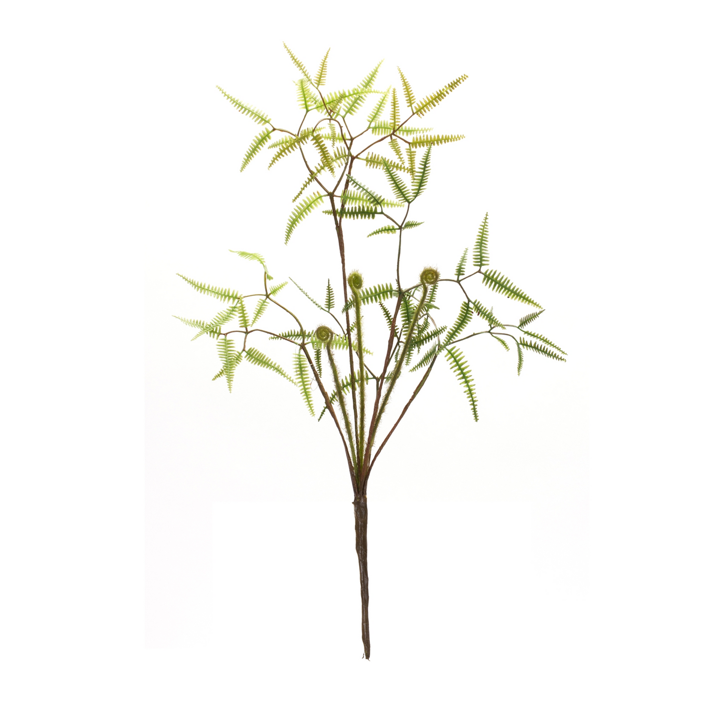 Mini Fern Foliage Bush with Sprout Accent (Set of 6) -Ship Only