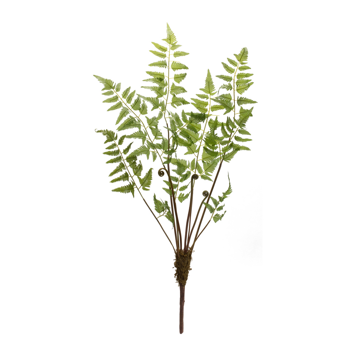 Varigated Fern Bundle with Sprout Accents (Set of 6) -Ship Only