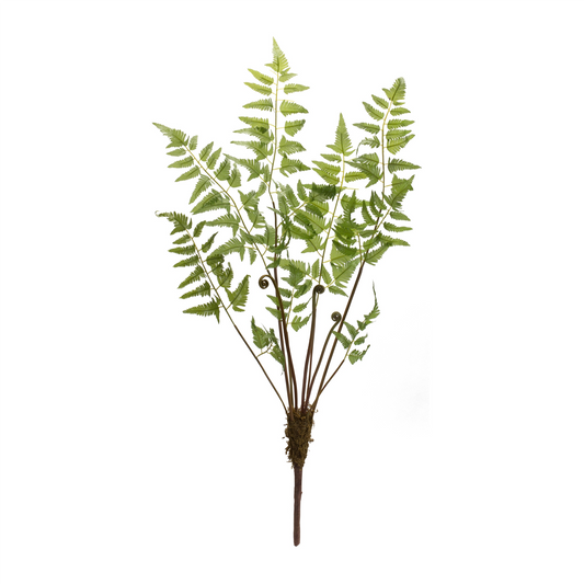 Varigated Fern Bundle with Sprout Accents (Set of 6) -Ship Only