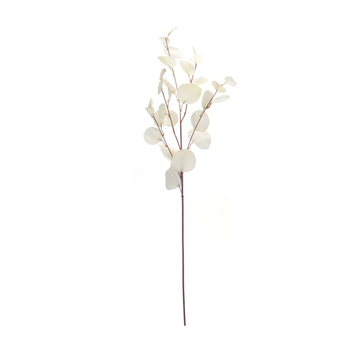 Ivory Silver Dollar Eucalyptus Leaf Spray (Set of 6) -Ship Only