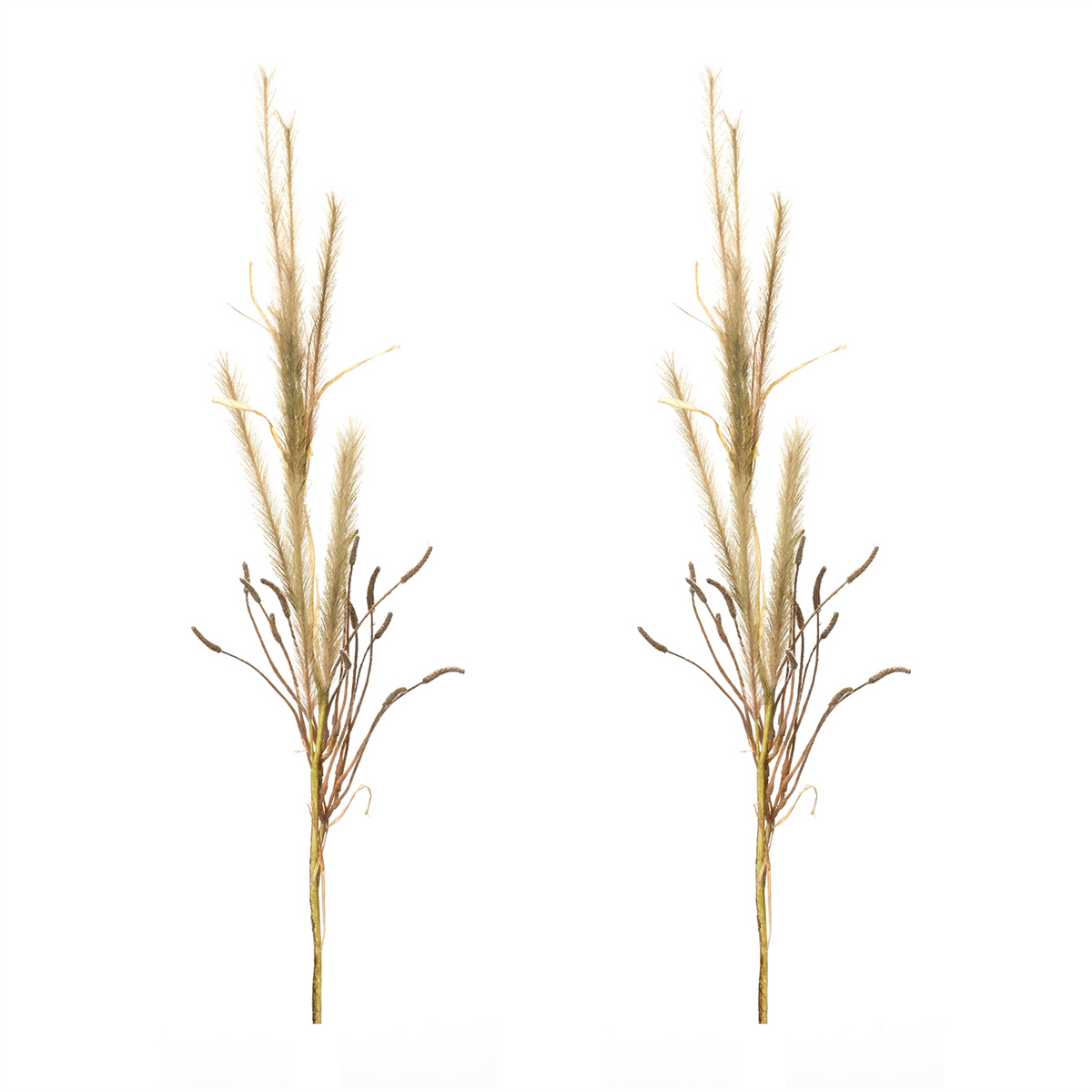 Foxtail Grass Spray (Set of 2) -Ship Only