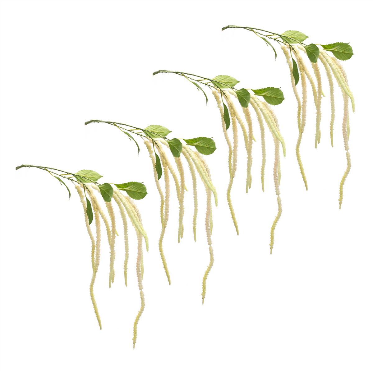 Amaranthus Floral Stem (Set of 4) -Ship Only