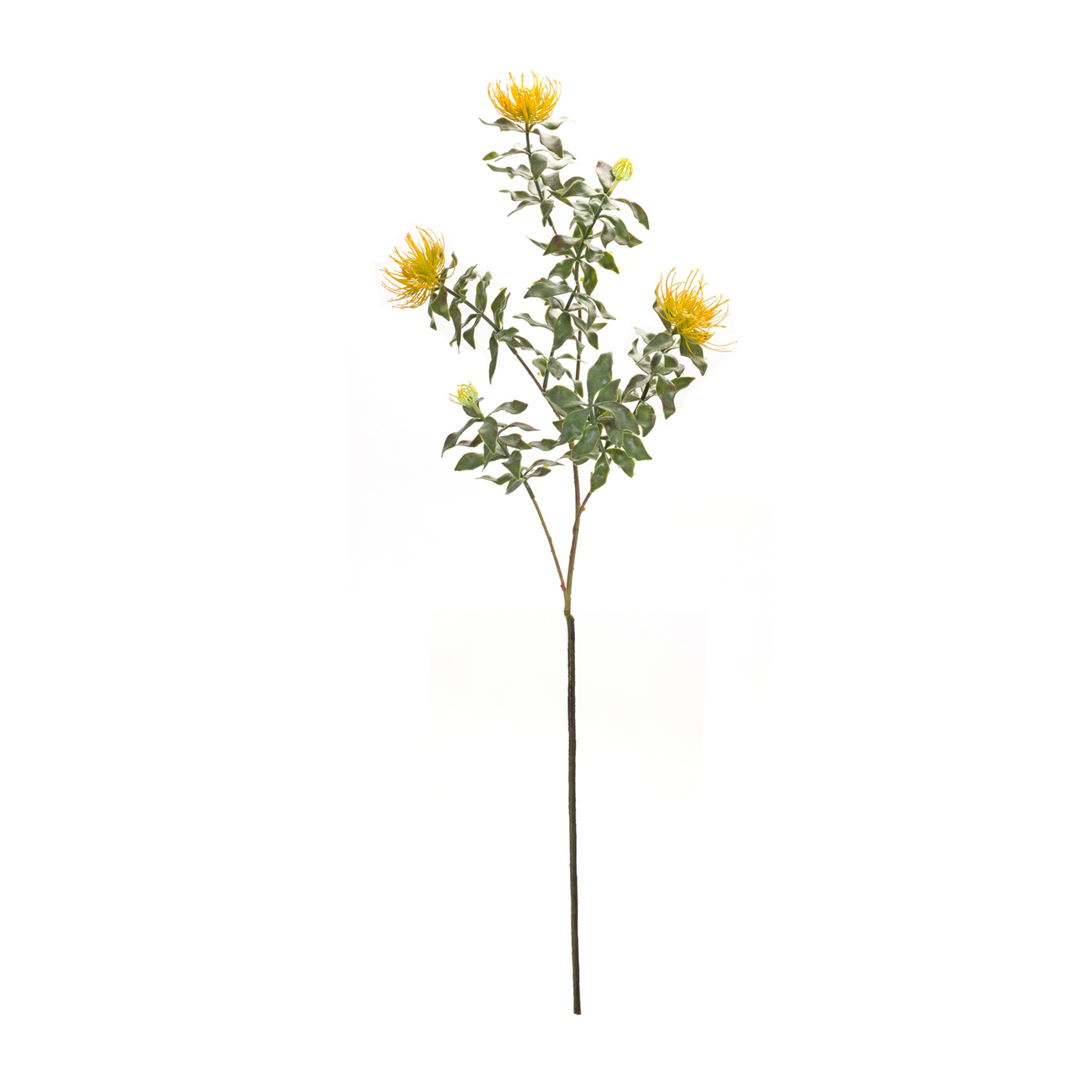Yellow Flocked Protea Spray (Set of 6) -Ship Only