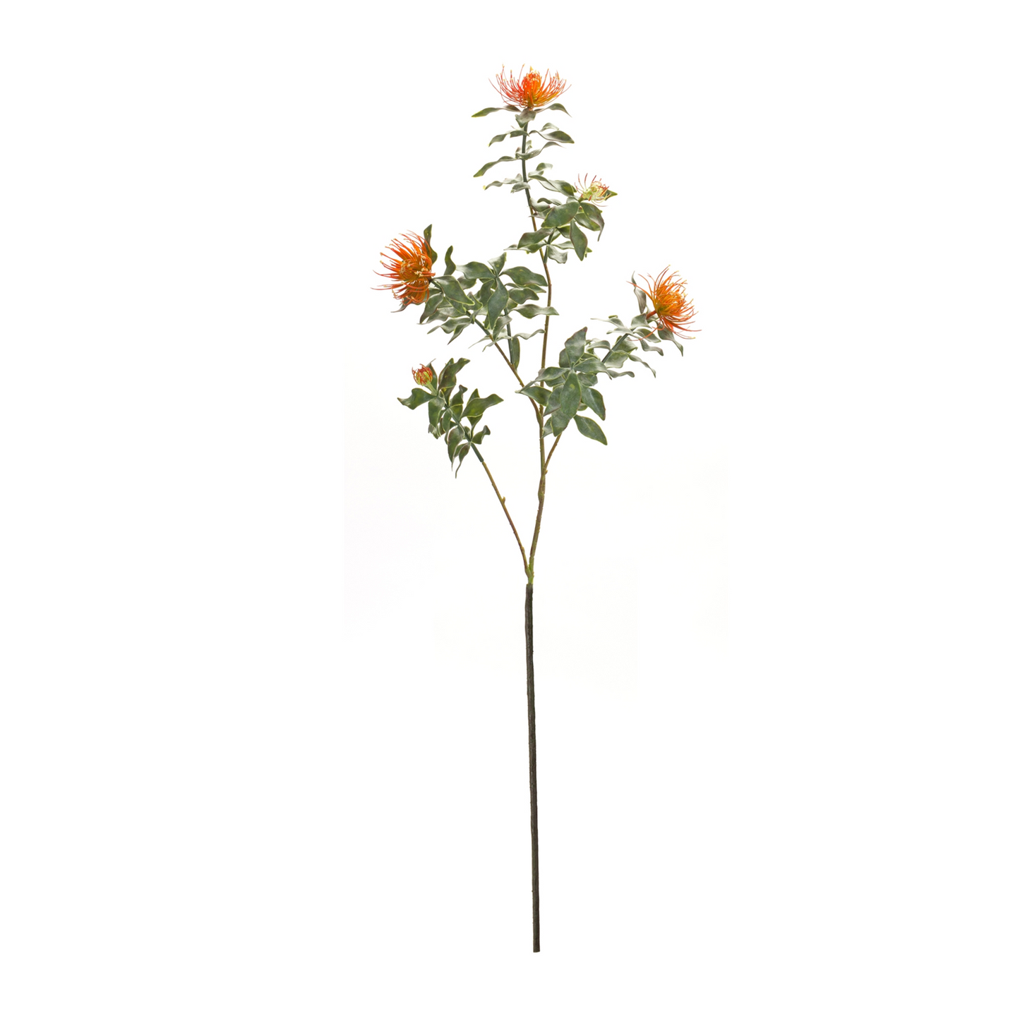 Orange Flocked Protea Spray (Set of 6) -Ship Only