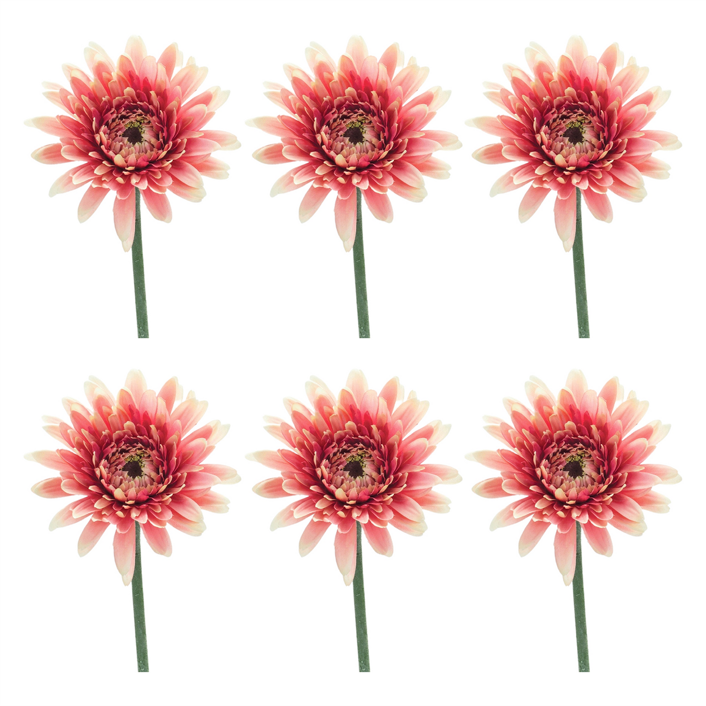 Gerbera Daisy Floral Stem (Set of 6) -Ship Only