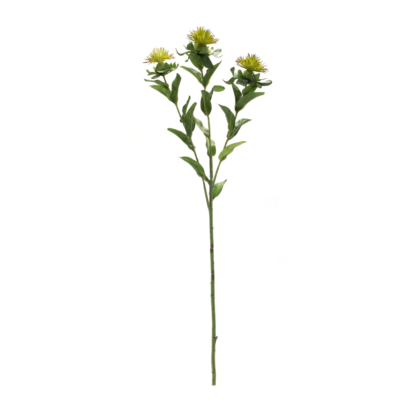 Green Thistle Floral Spray (Set of 6) -Ship Only