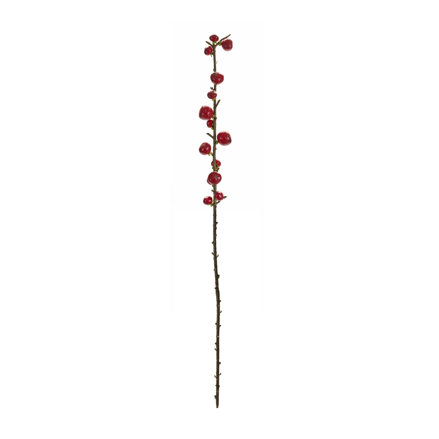 Red Berry Twig Stem (Set of 6) -Ship Only