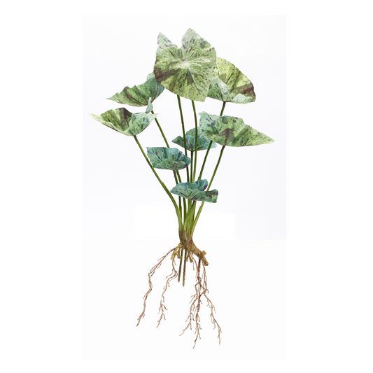 Caladium Bush (Set of 6) 18.5”H Polyester -Ship Only