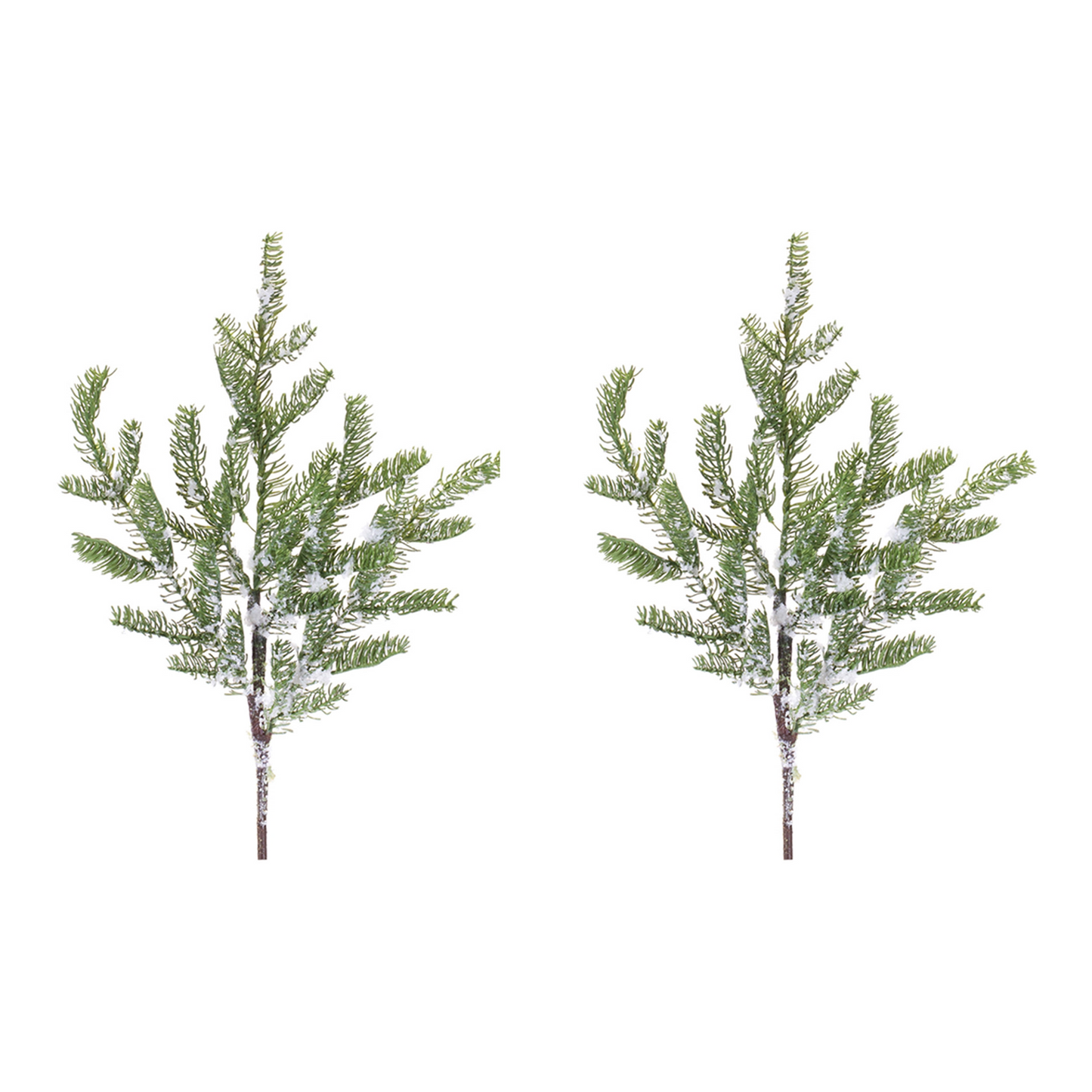 Pine Spray (Set of 2) -Ship Only