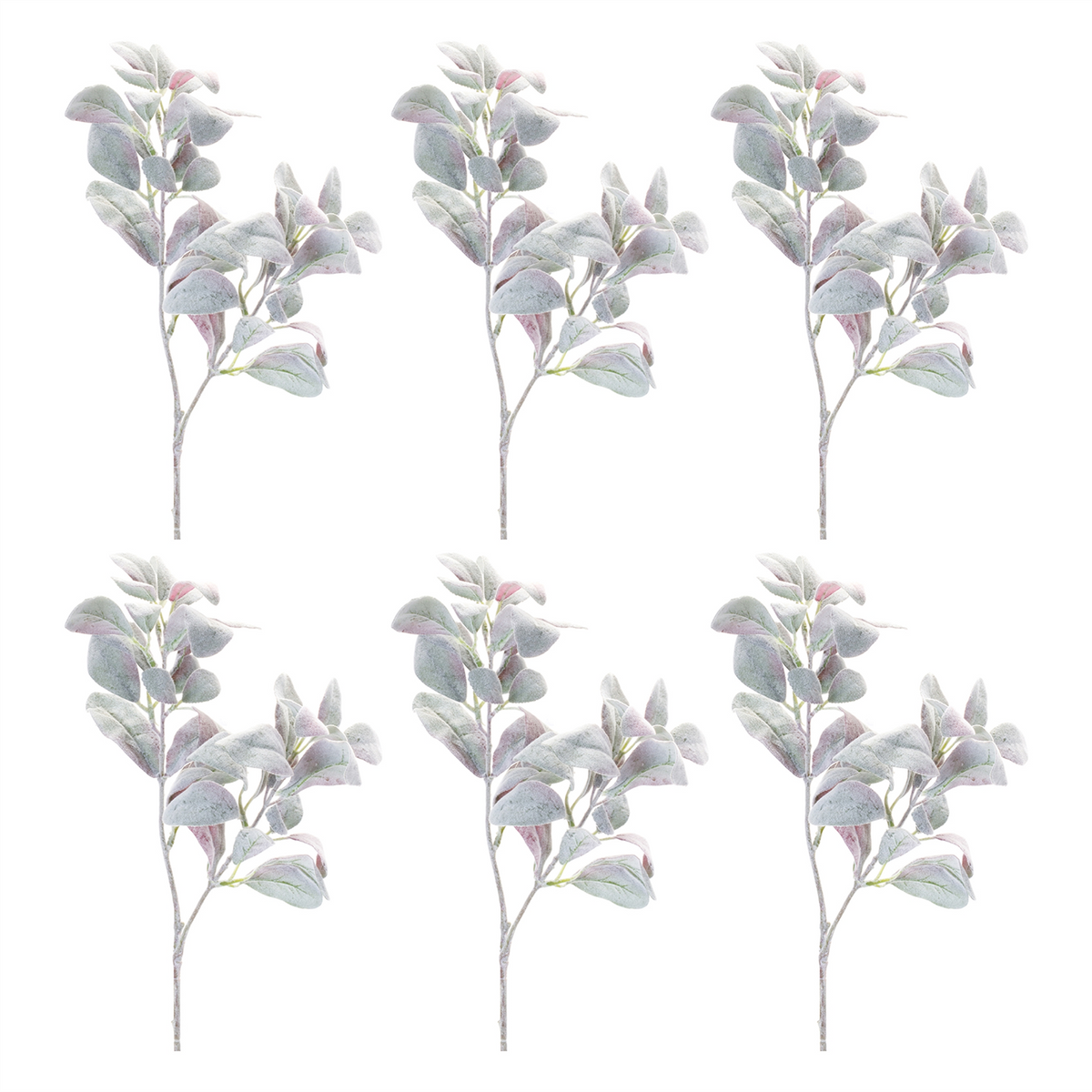 Lamb's Ear Leaf Bush (Set of 6) -Ship Only