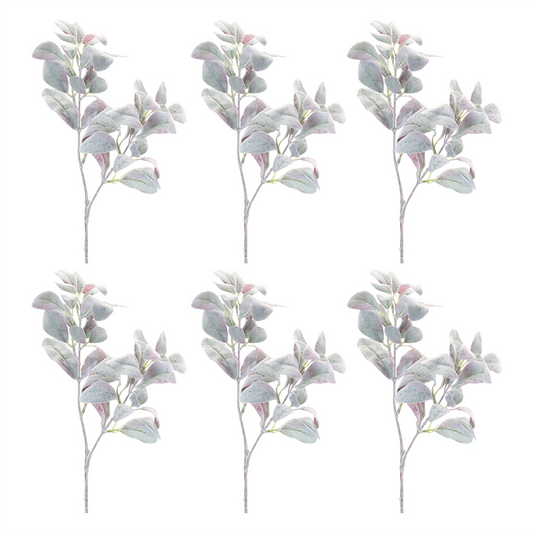 Lamb's Ear Leaf Bush (Set of 6) -Ship Only