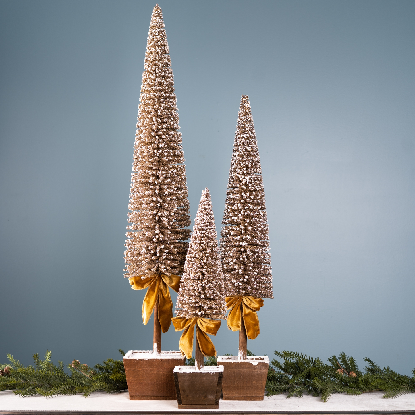 Potted Bottle Brush Pine Tree (Set of 3) -Ship Only