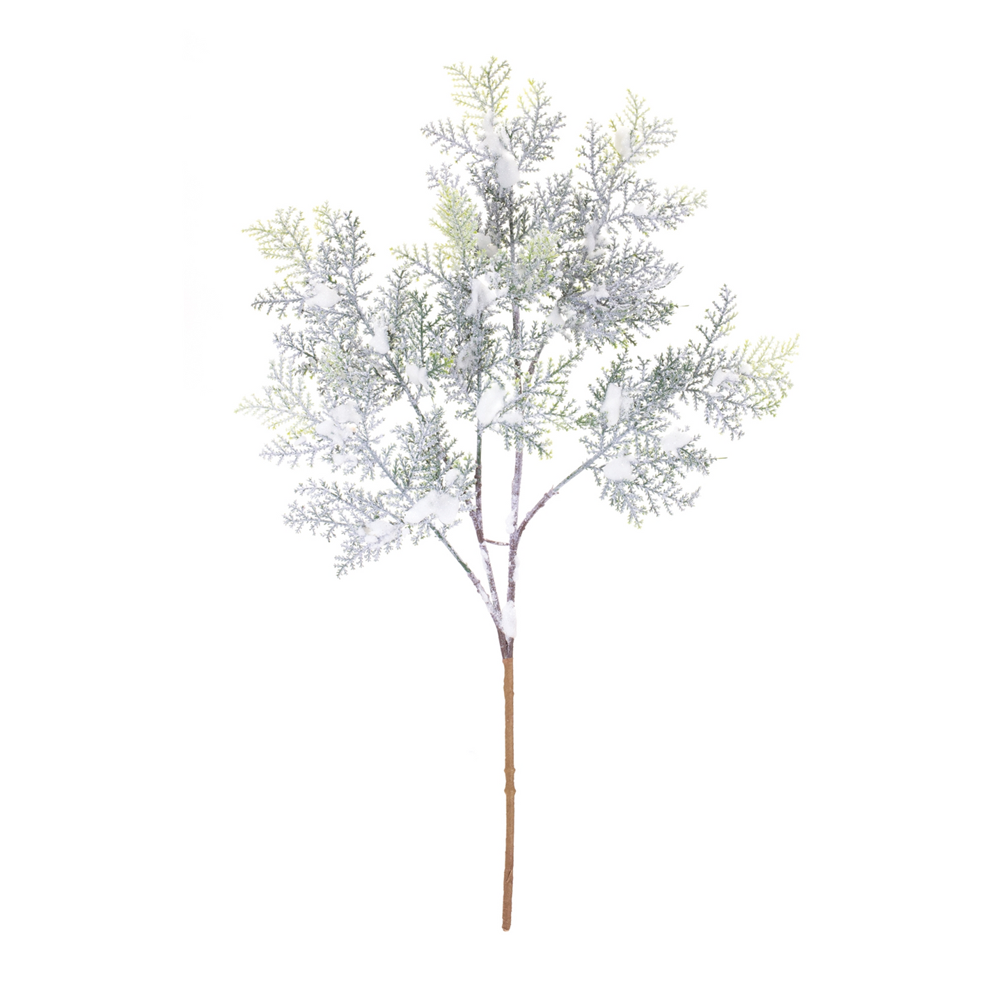 Flocked Cedar Branch (Set of 12) -Ship Only