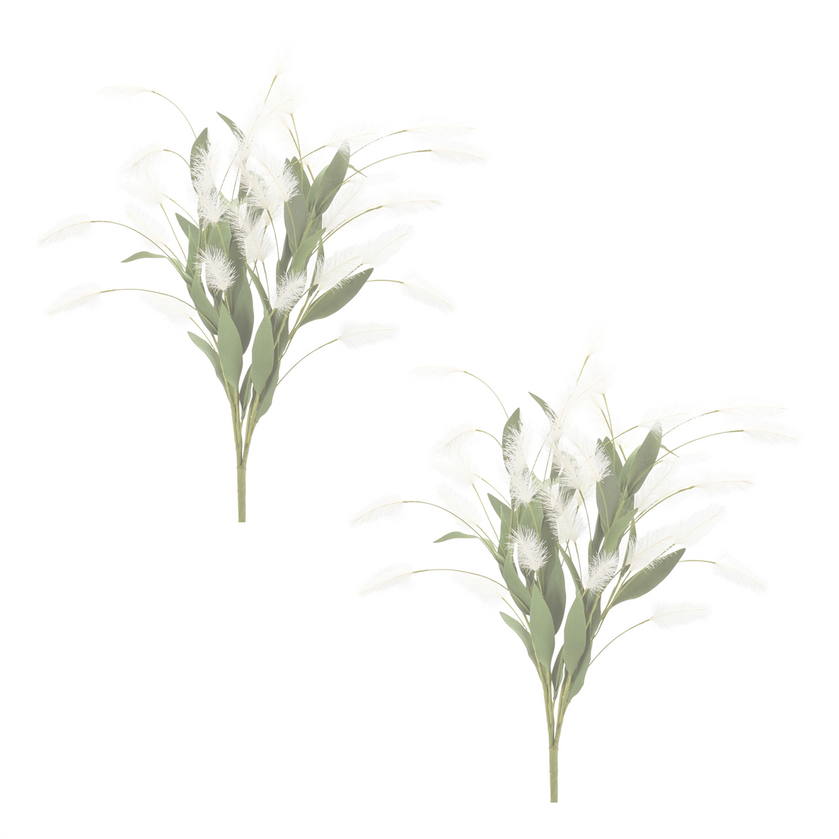 White Plume Bush (Set of 2) -Ship Only