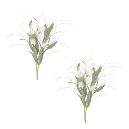White Plume Bush (Set of 2)