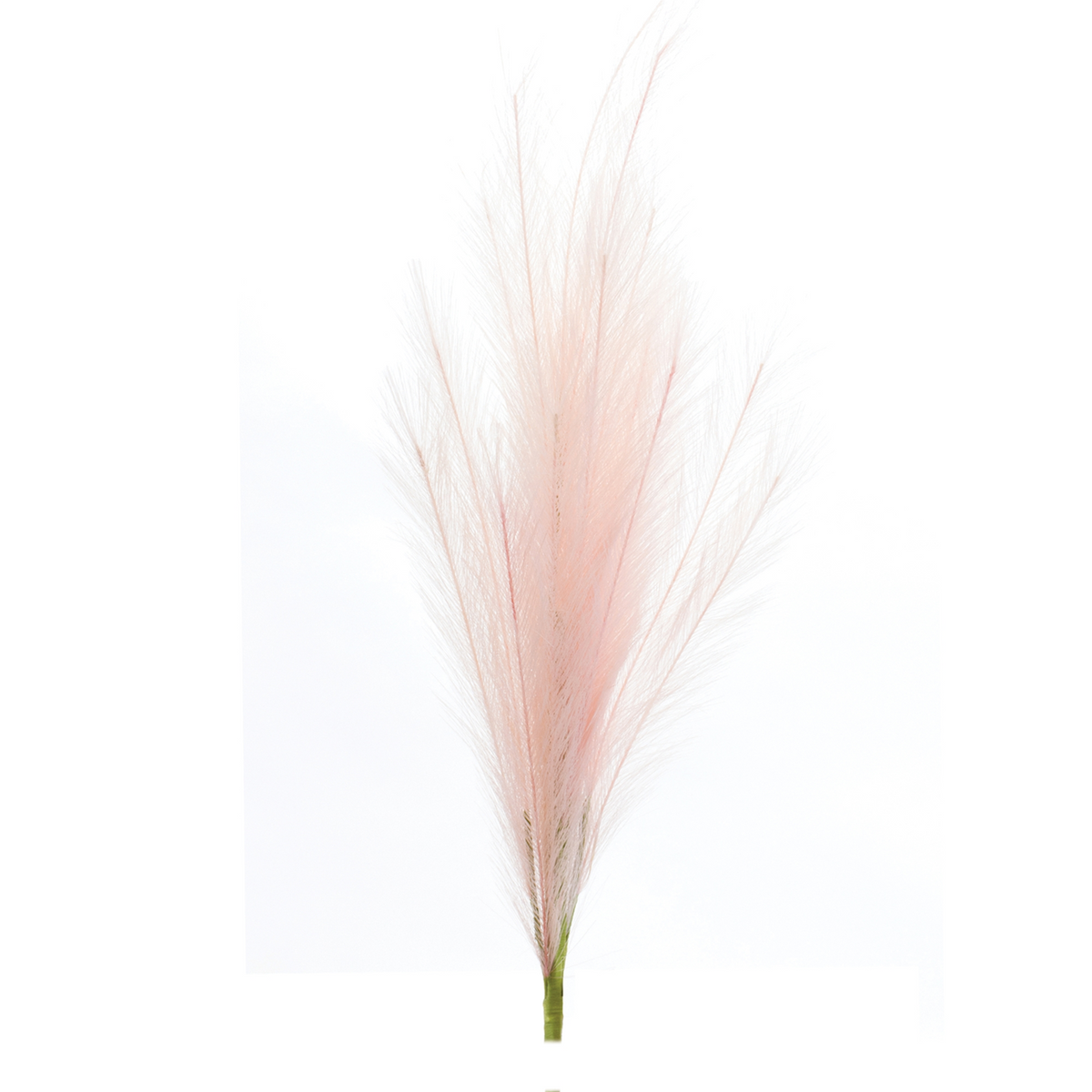 Assorted Pink Plume Spray (Set of 3) -Ship Only