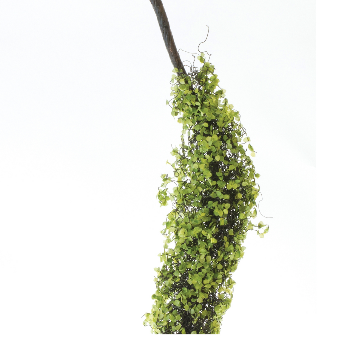 Moss Foliage Vine Branch (Set of 2) -Ship Only