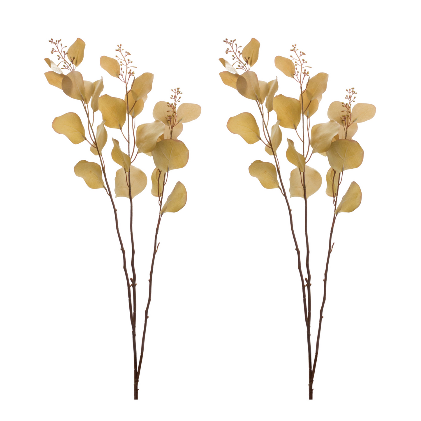 Seeded Eucalyptus Stem (Set of 2) -Ship Only
