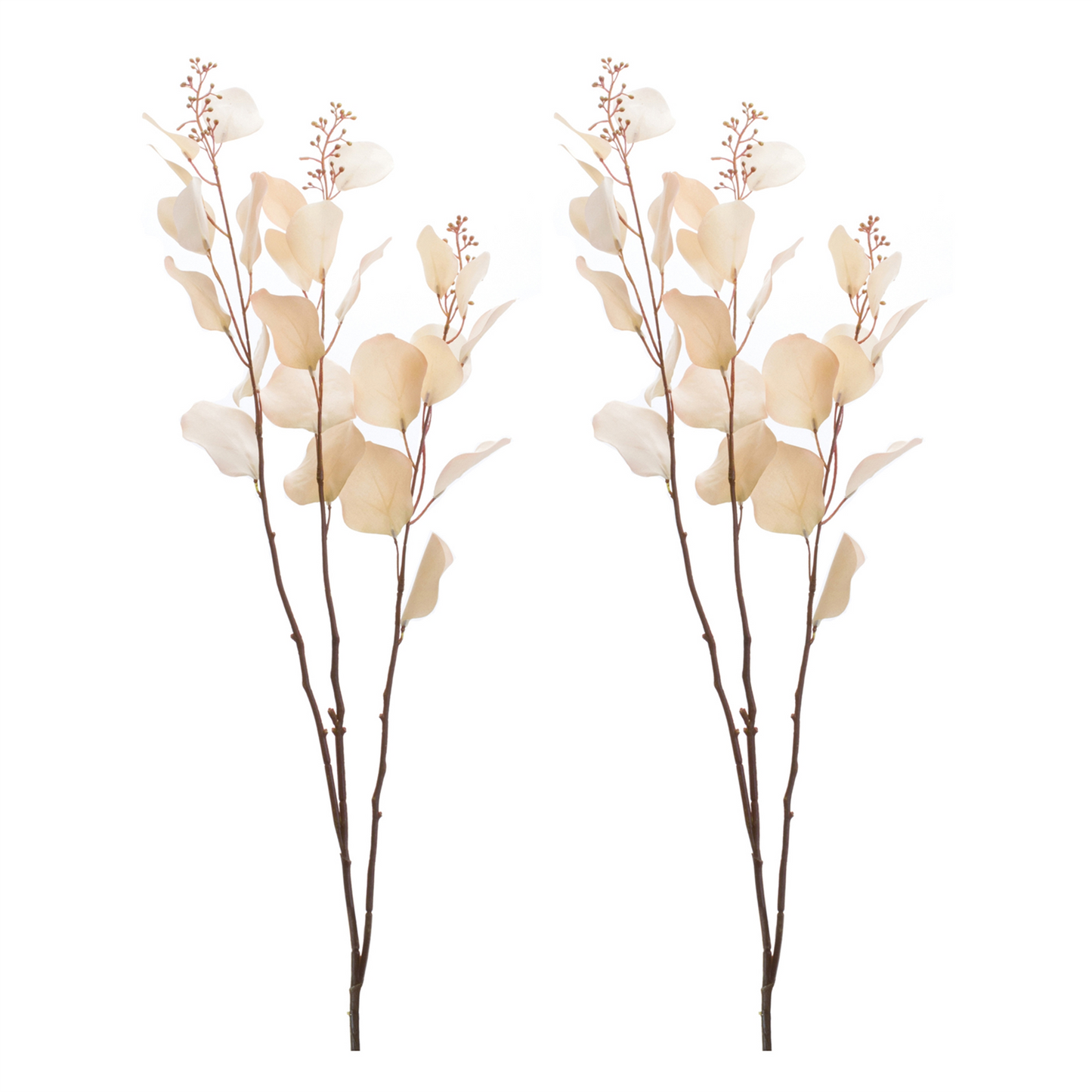 Seeded Eucalyptus Stem (Set of 2) -Ship Only