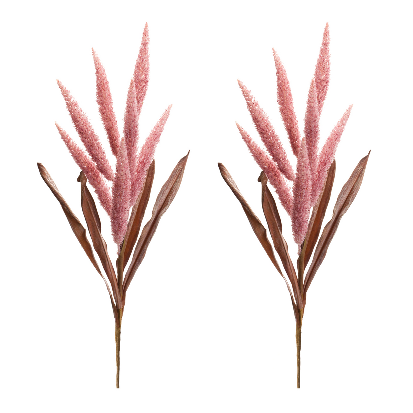 Foxtail Plume Stem (Set of 2) -Ship Only
